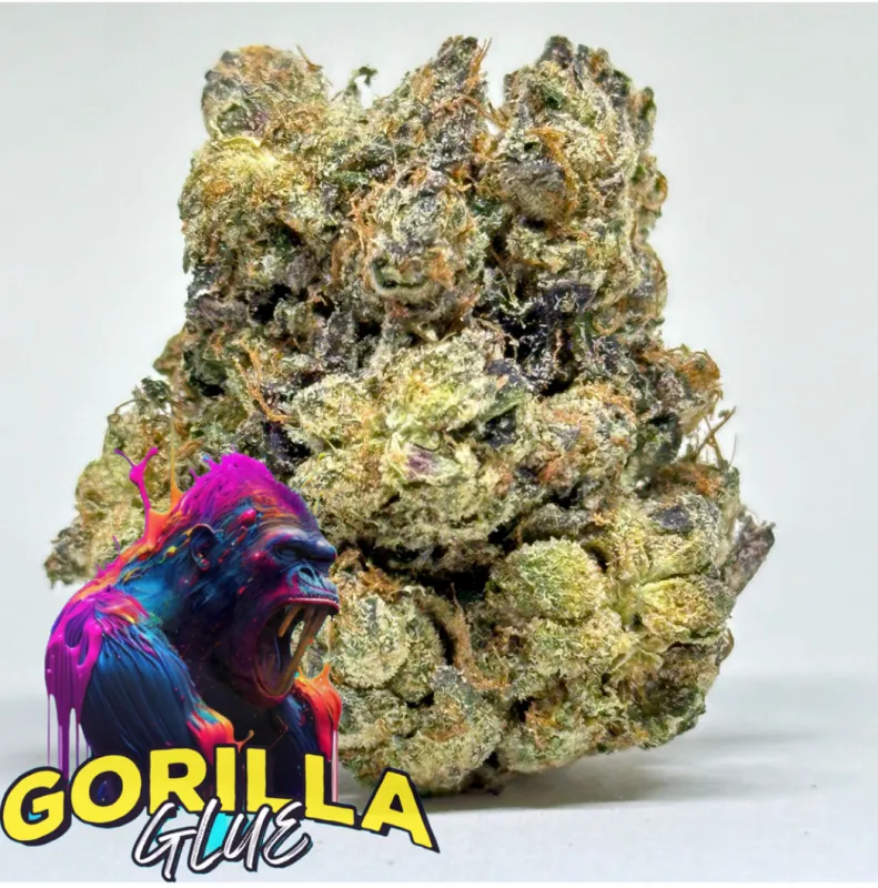 Gorilla Glue Indica - THC 31.74% | 2Oz Bulk Deal for $180