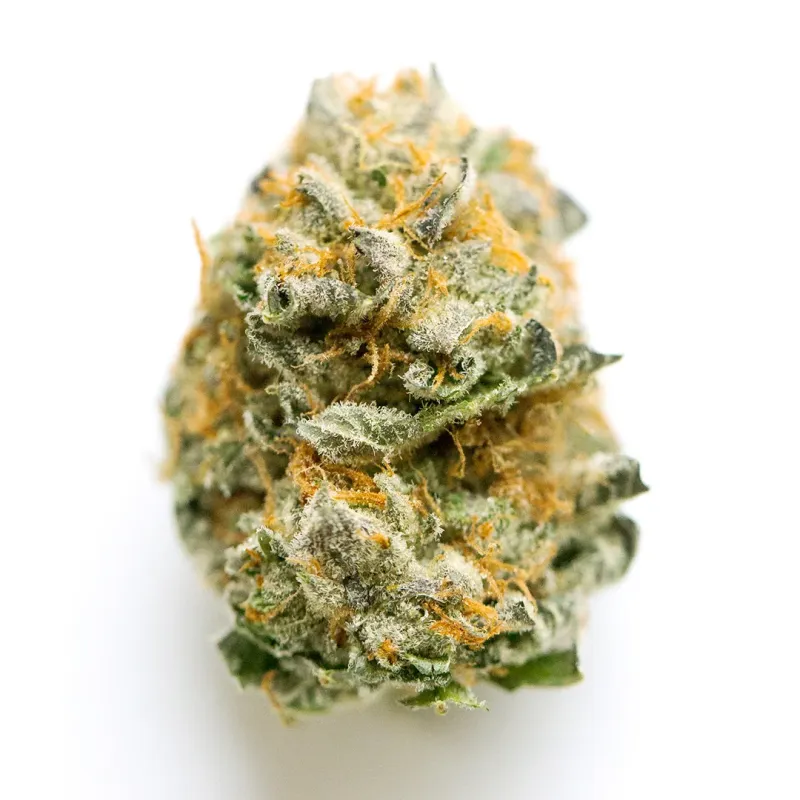 Holy Crack Cannabis – Potent Sativa-Hybrid photo 1