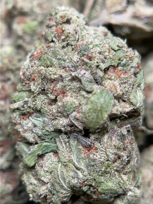 Honey Rock photo 2