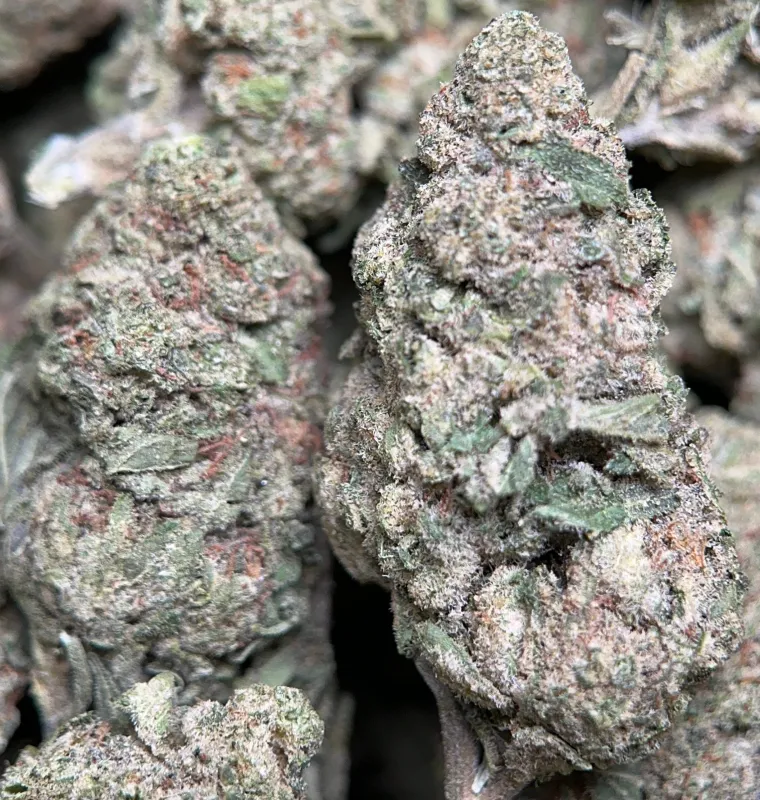 Honey Rock photo 4