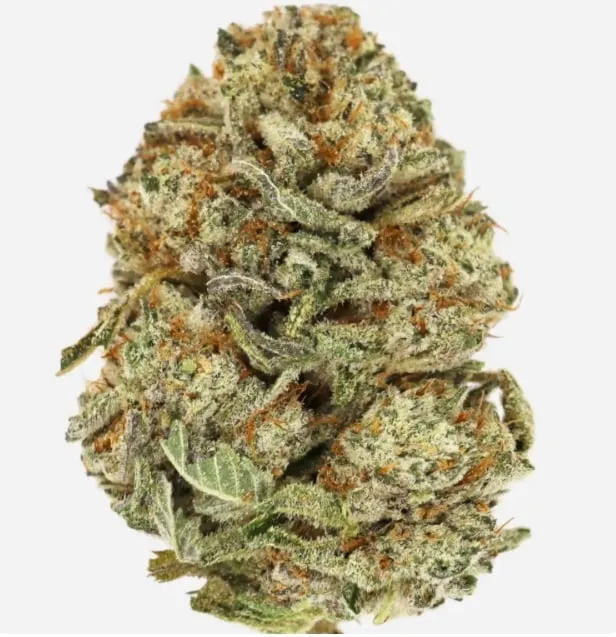 Ice Cream Cake - 2oz Bulk Deal For $150