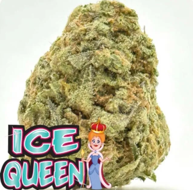 Ice Queen - 2oz Bulk Deal For $170