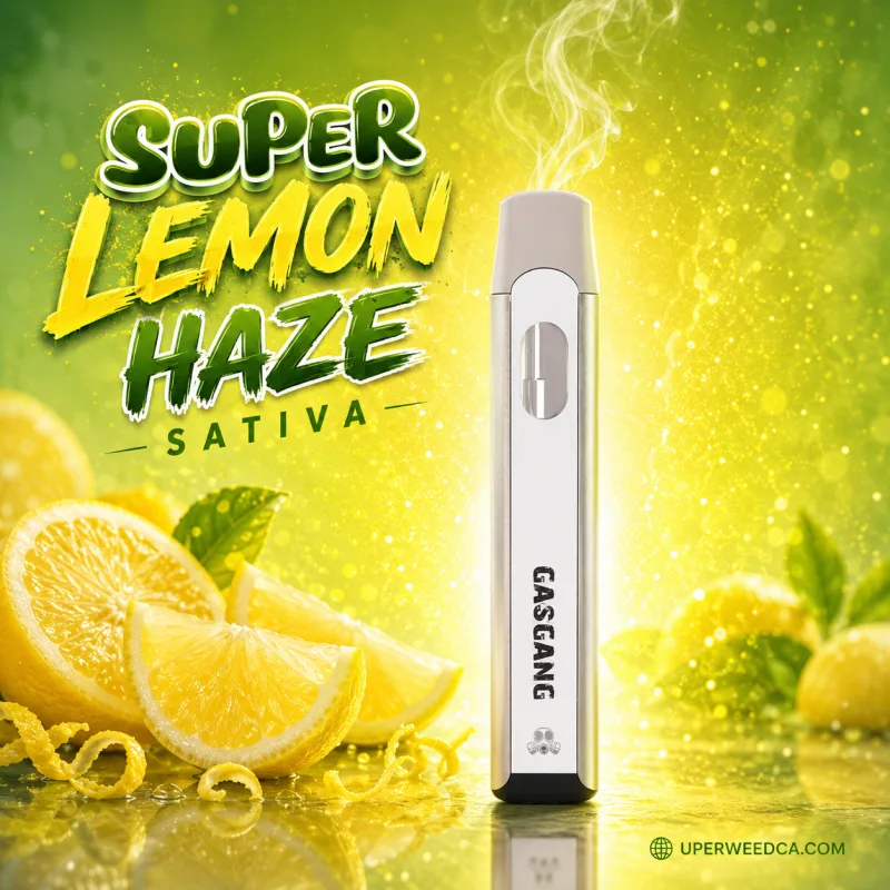 Super Lemon Haze Sativa Gas Gang 1G Vape