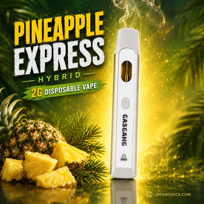 Pineapple Express Sativa Gas Gang 2G Vape