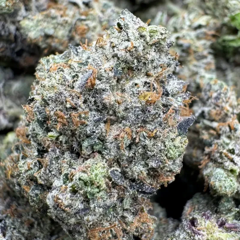 Gas Cream Cake Hash