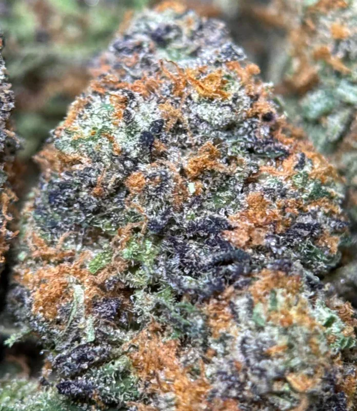 Alien Candy Kush