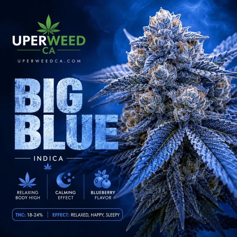 Big Blue