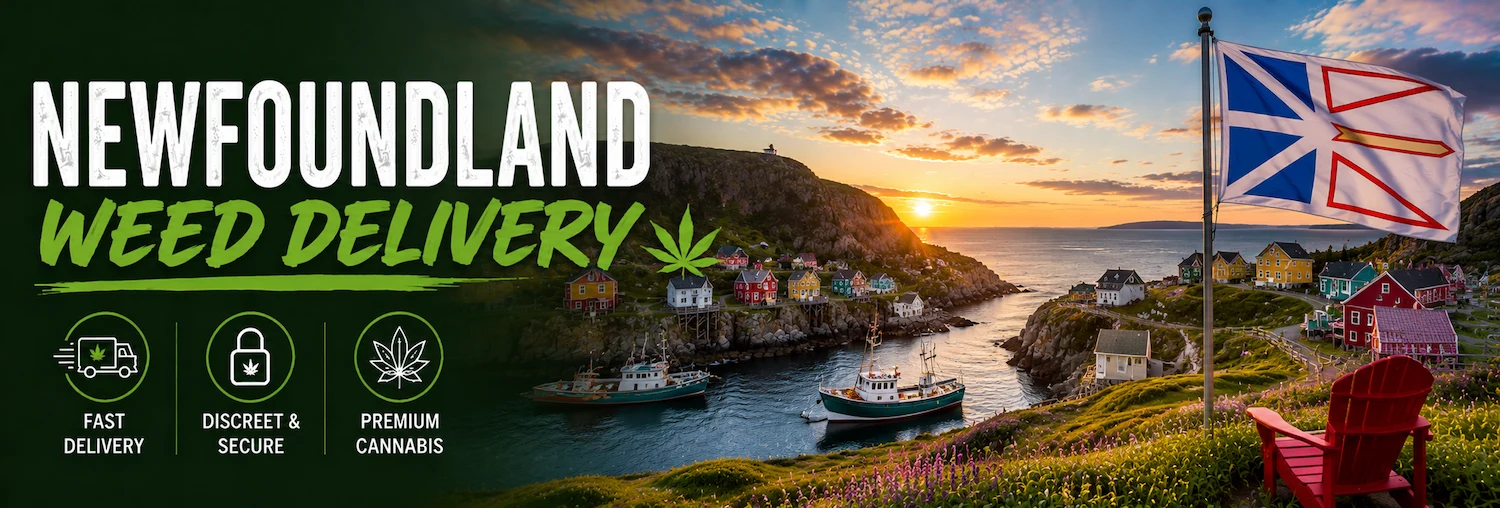 Newfoundland Weed Delivery