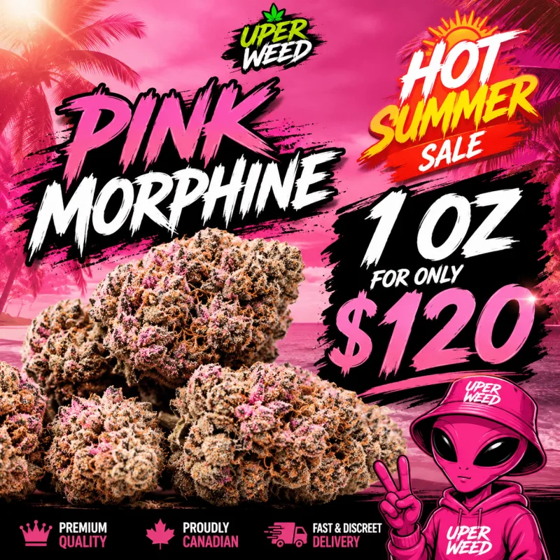 Pink Morphine photo 1