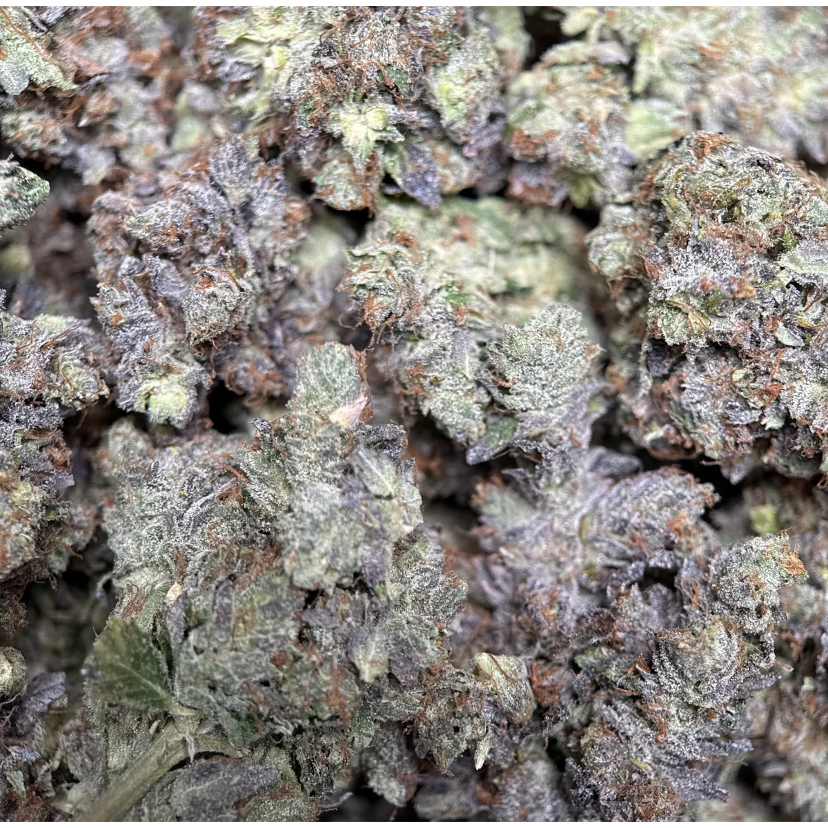 Stinky Pinky photo 2