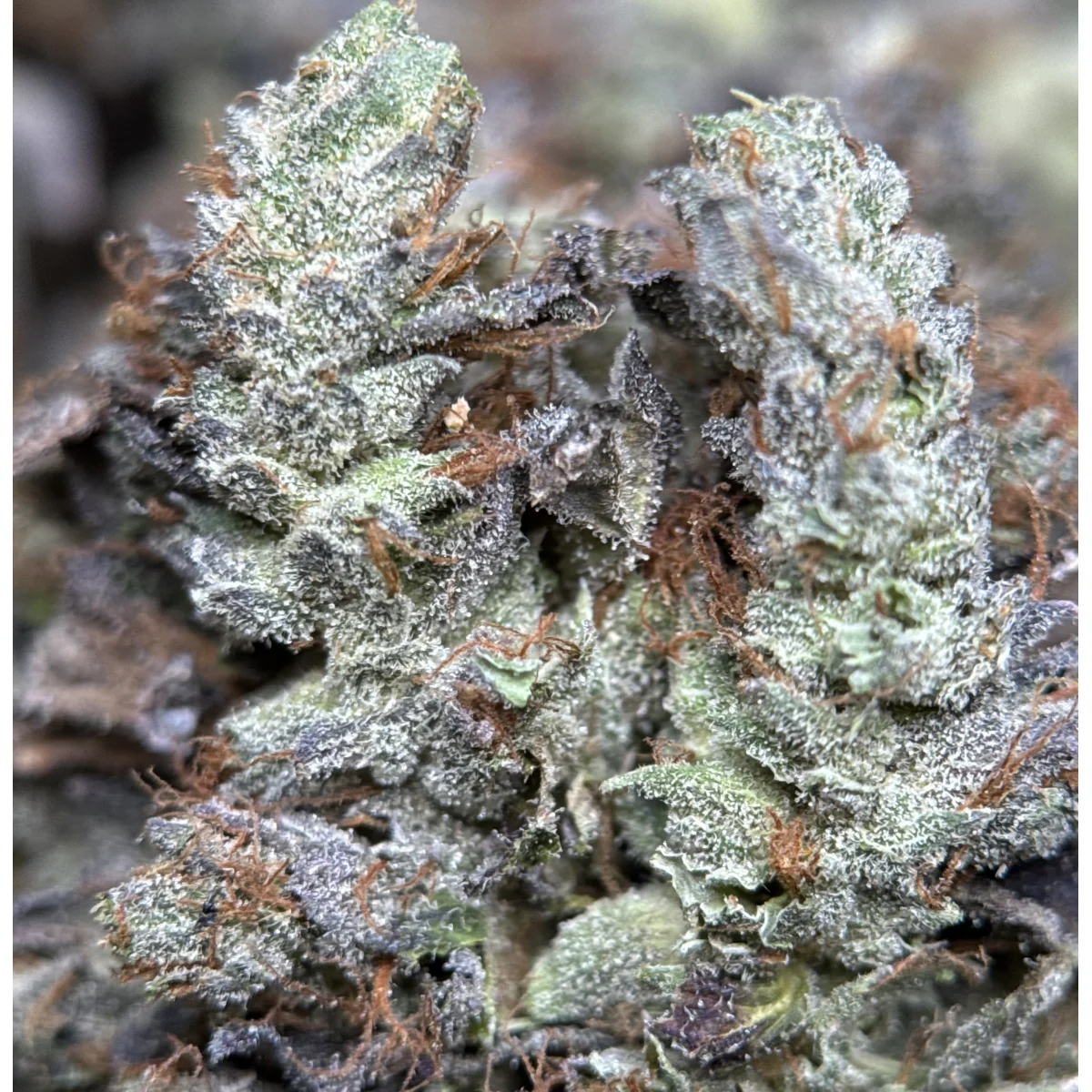 Stinky Pinky photo 3