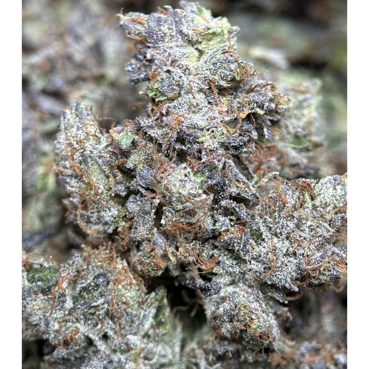 Stinky Pinky photo 5