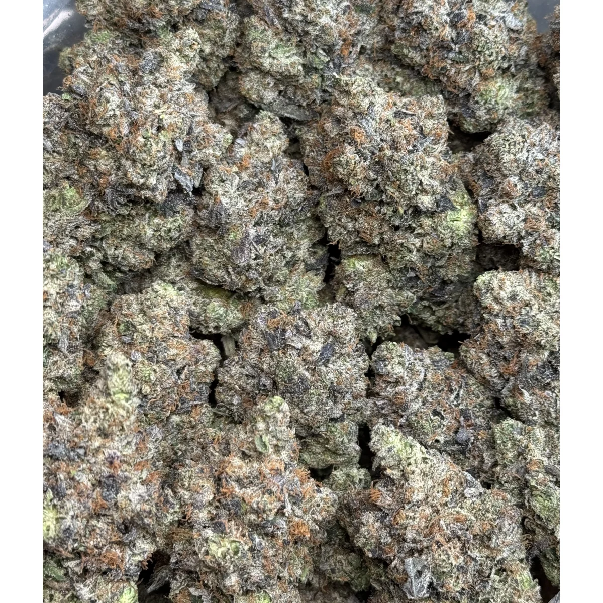 Death Tuna (Cali Bricks) photo 3