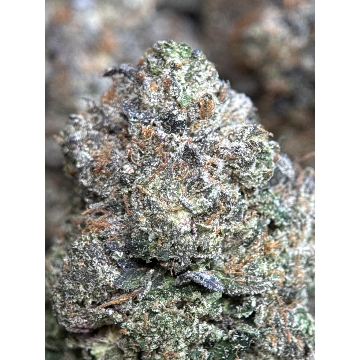 Death Bubba
