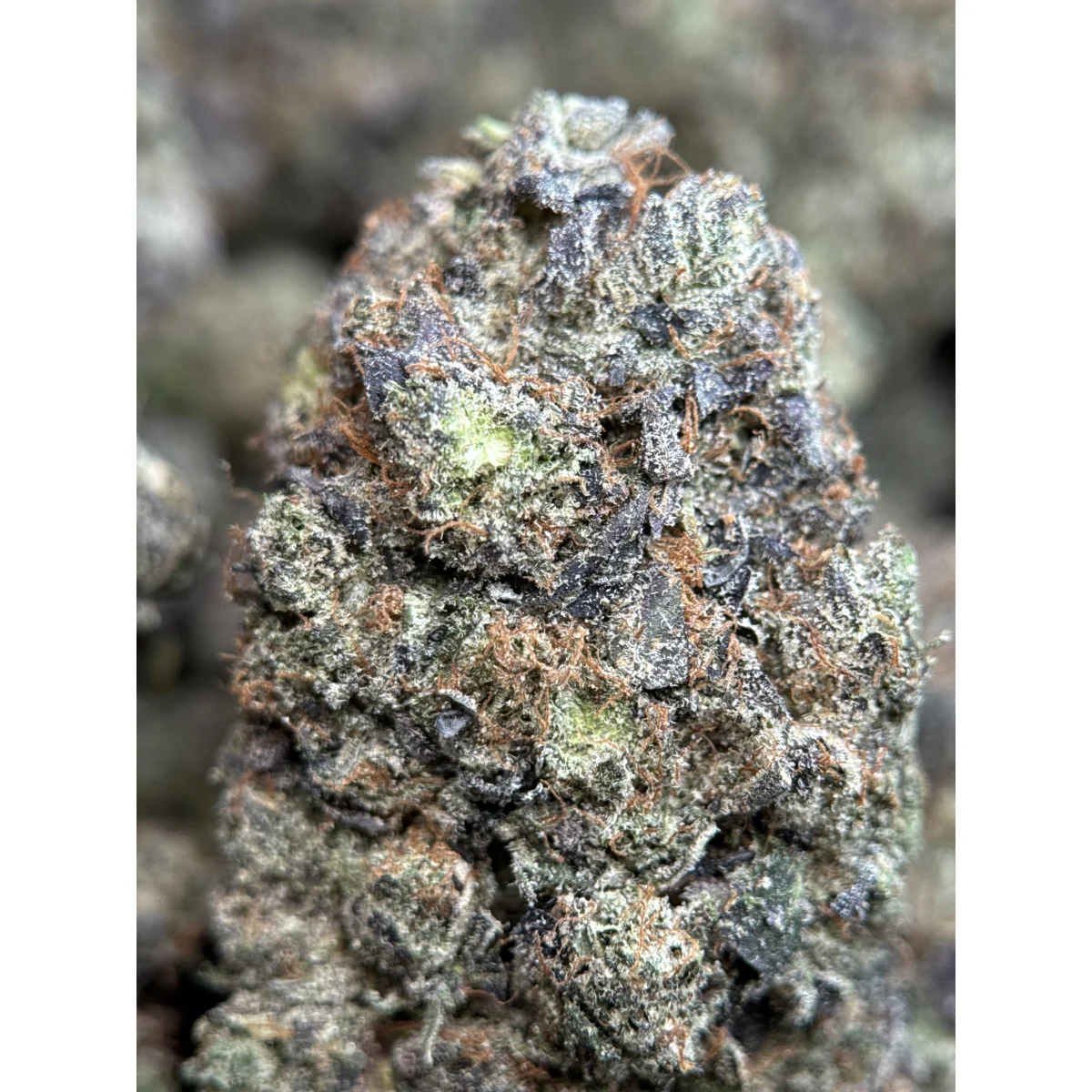 Death Bubba photo 4