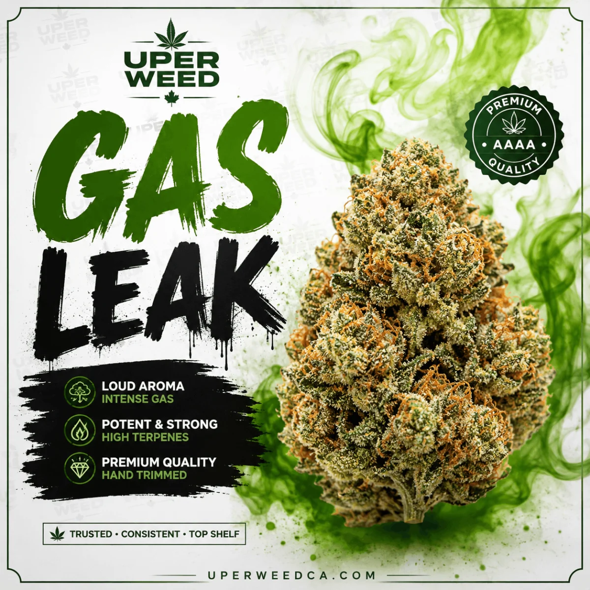Gas Leak