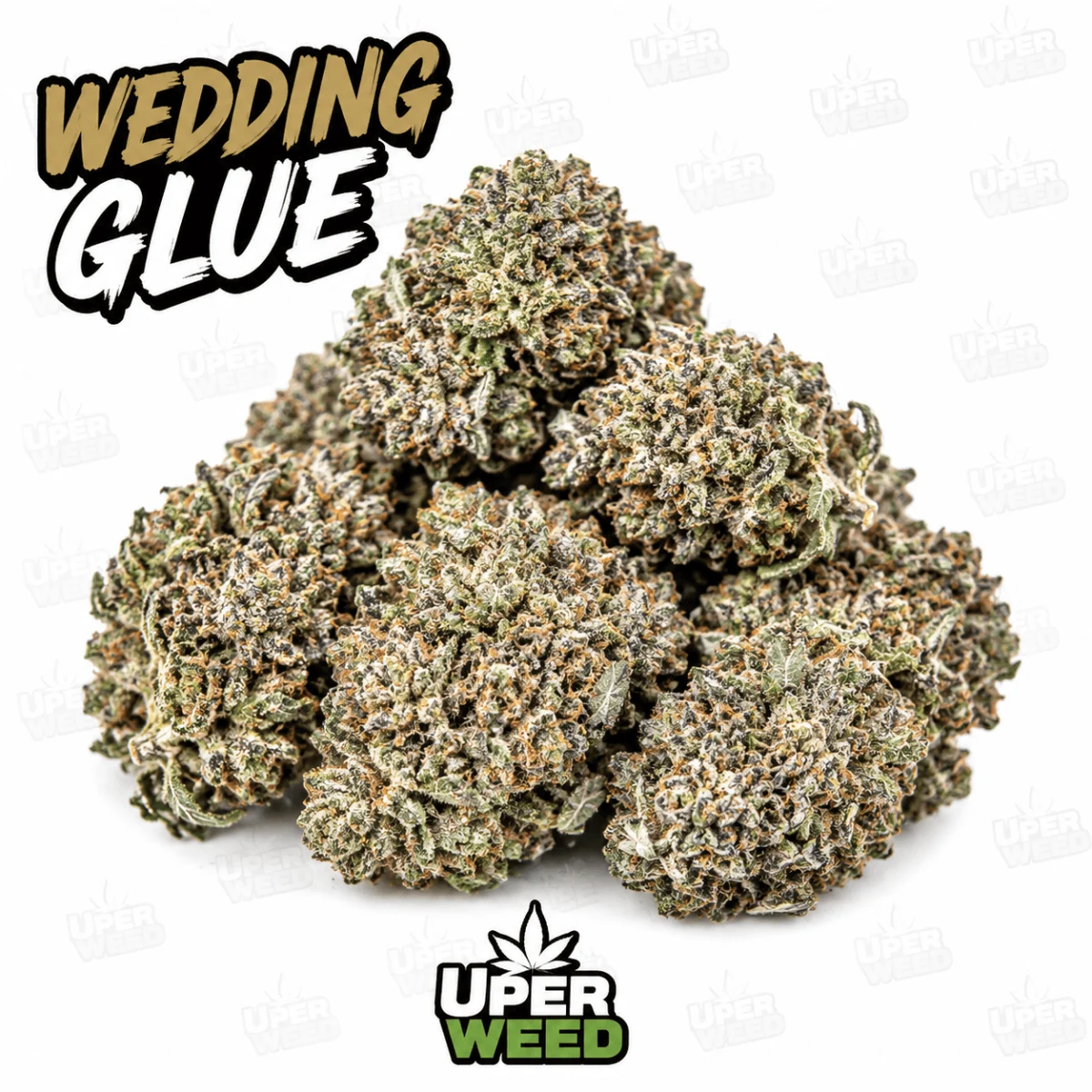 Wedding Glue