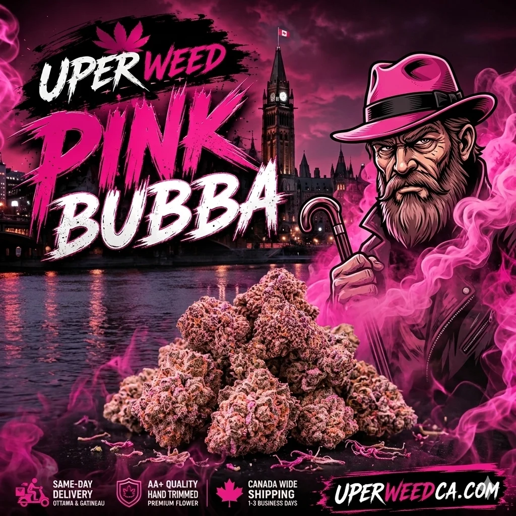 Pink Bubba