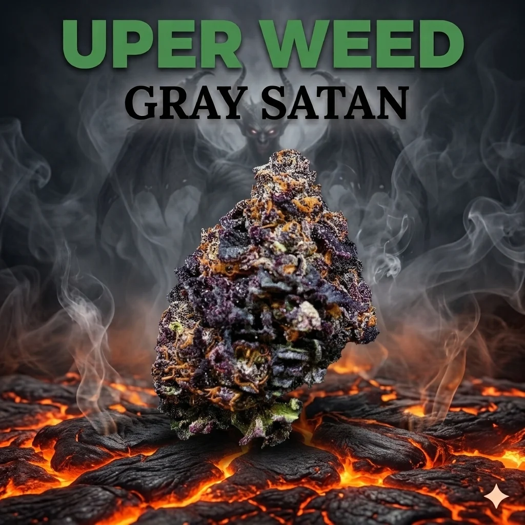 Gray Satan