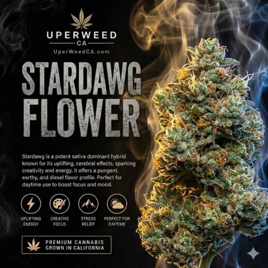 Stardawg