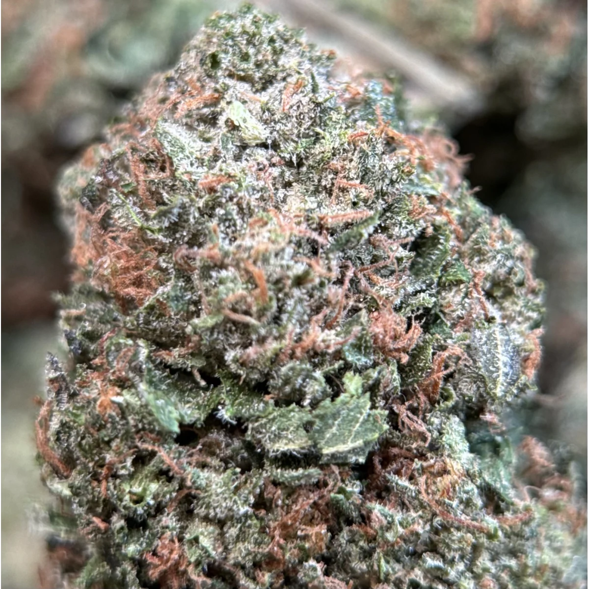 Pink Mystery