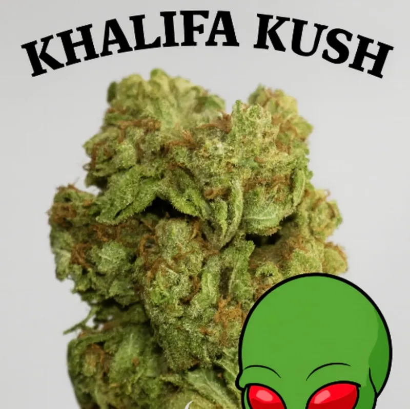 Khalifa Kush