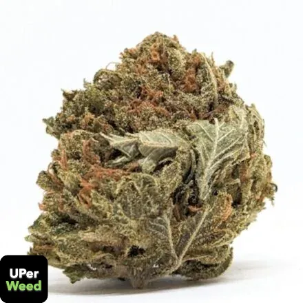 LA Confidential