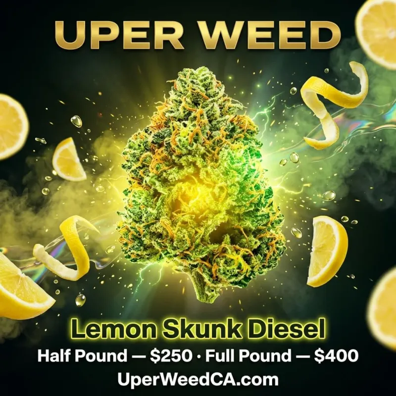 Lemon Skunk Diesel AA+ photo 2