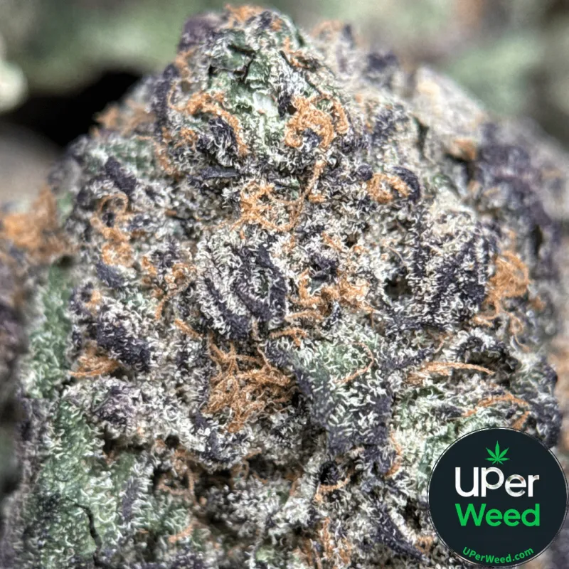 Love OG