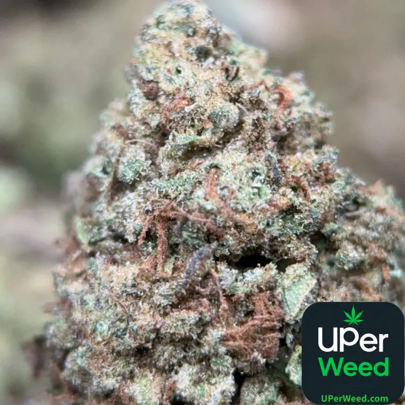 Muffin Indica - 4Oz Bulk Deal for $200 - Ottawa Weed Delivery