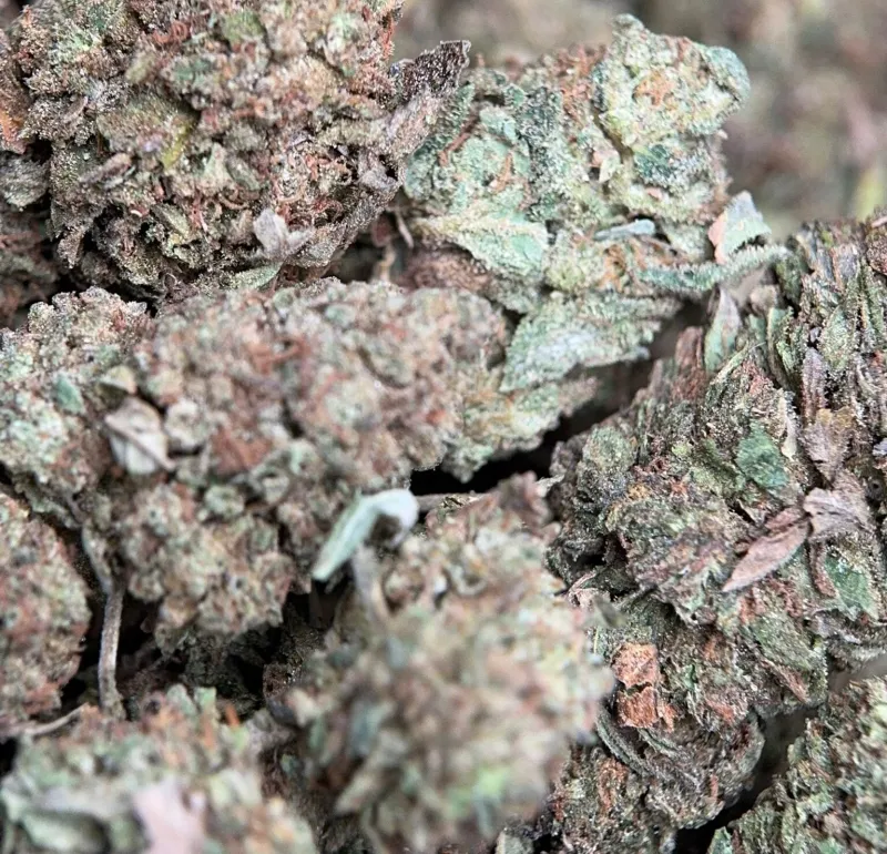 Muffin Indica - 4Oz Bulk Deal for $200 - Ottawa Weed Delivery photo 4