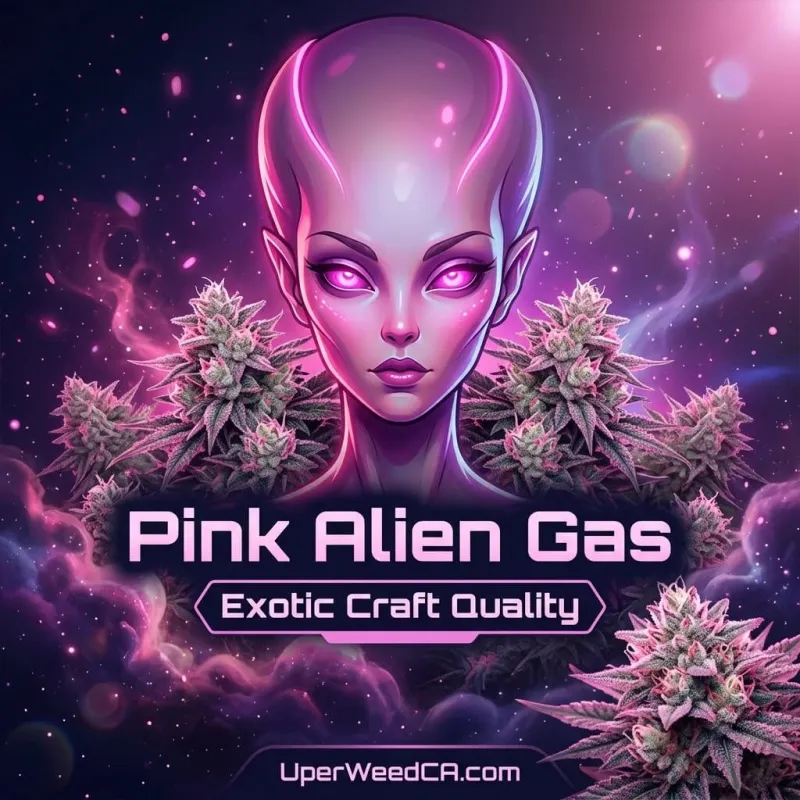 Pink Alien Gas