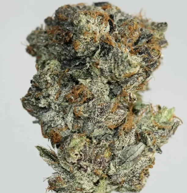 Pink Death Breath - Cali Bricks