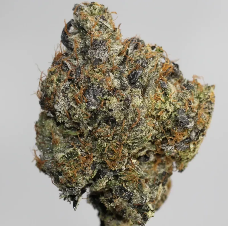 Pink Death Star - Cali Bricks