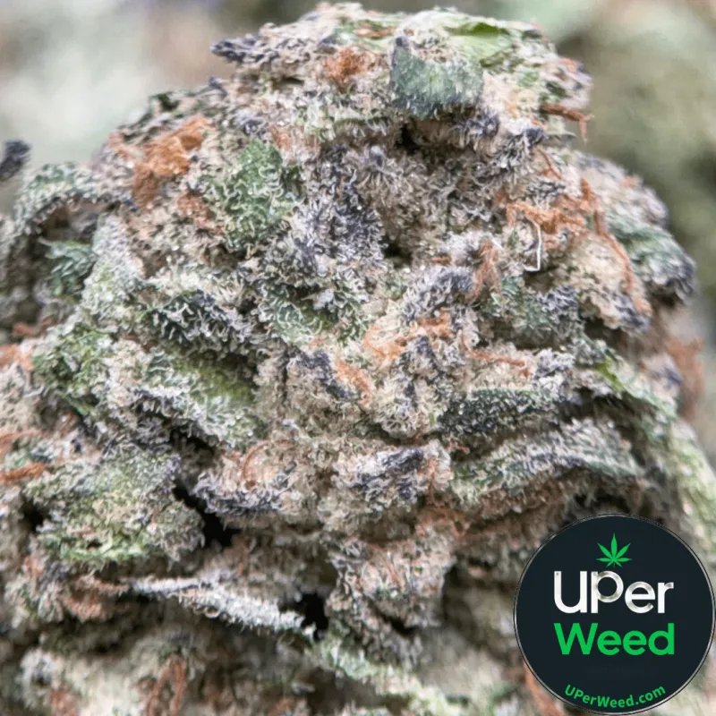 Pink Diesel