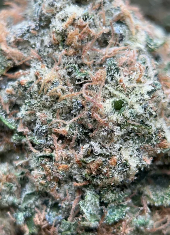 Pink Diesel photo 5