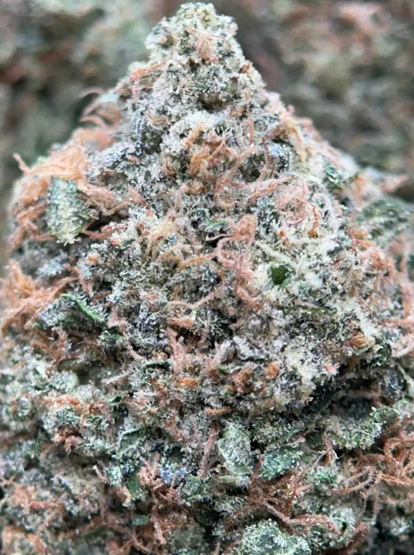 Pink Diesel photo 6