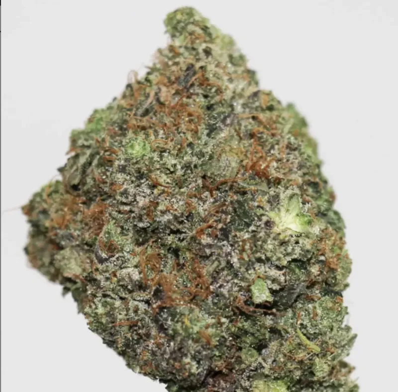 Pink Gas