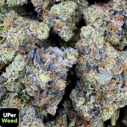 Pink Gasoline - Cali Brick