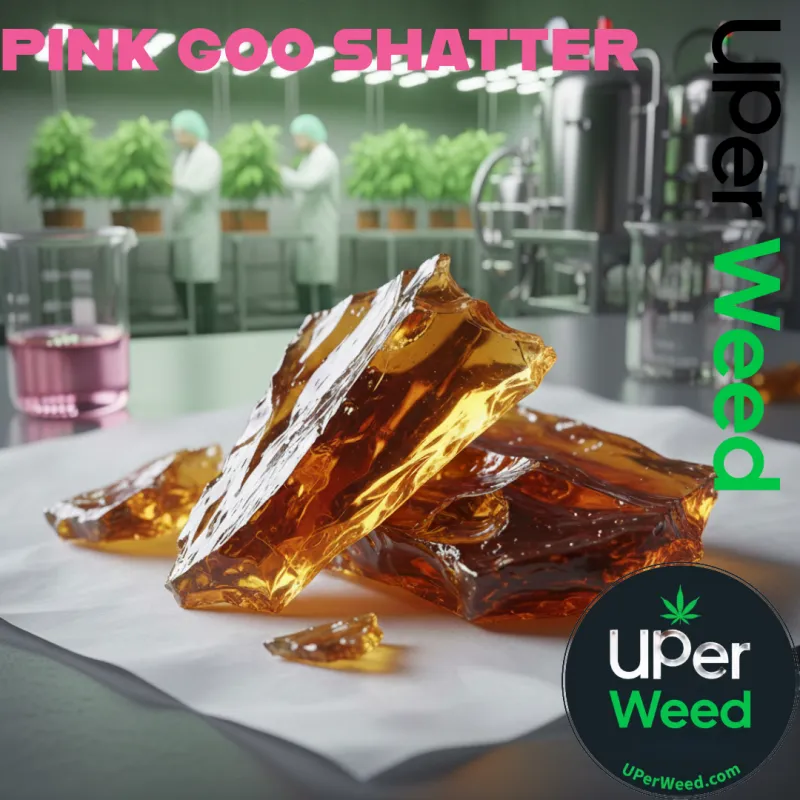 Pink Goo Shatter - Premium Indica Extract