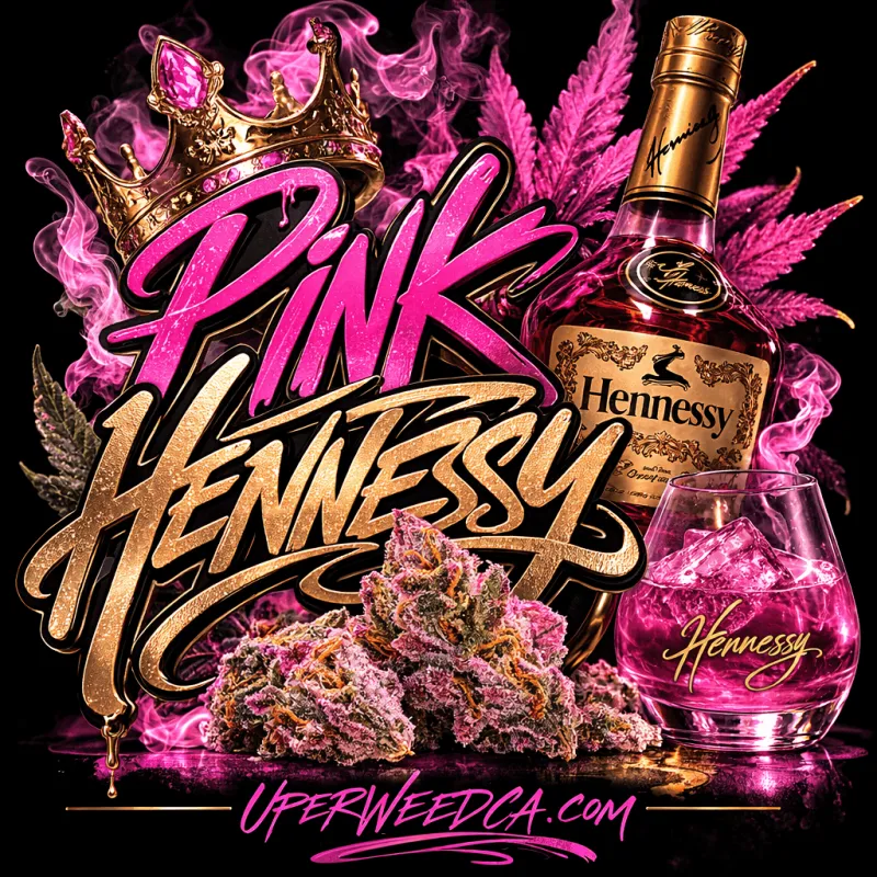 Pink Hennessy - Cali Brick