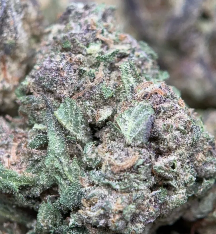 Pink Skywalker photo 3