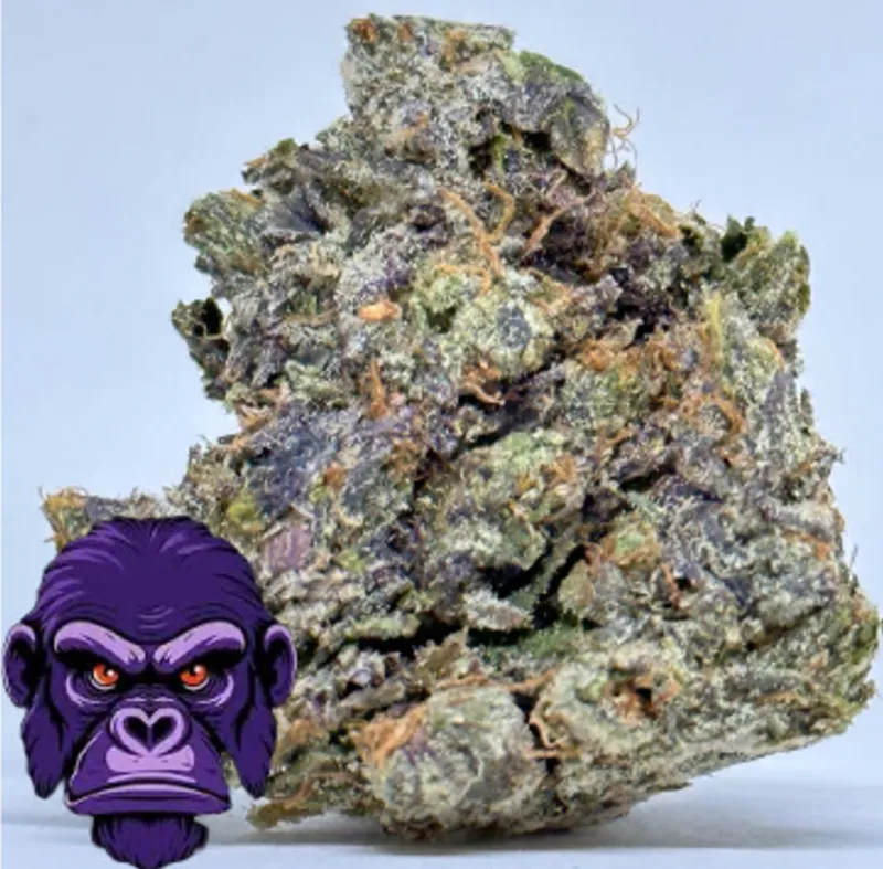 Purple Glue Indica - 2oz Bulk Deal for $190