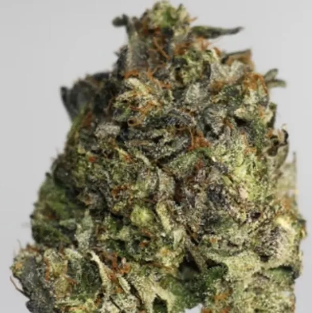 Purple Kush - 4oz Bulk Deal For $200