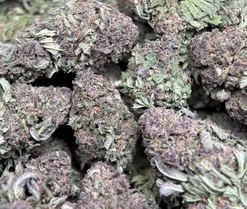 Purple Monster photo 3
