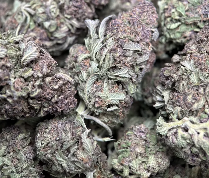 Purple Monster photo 4