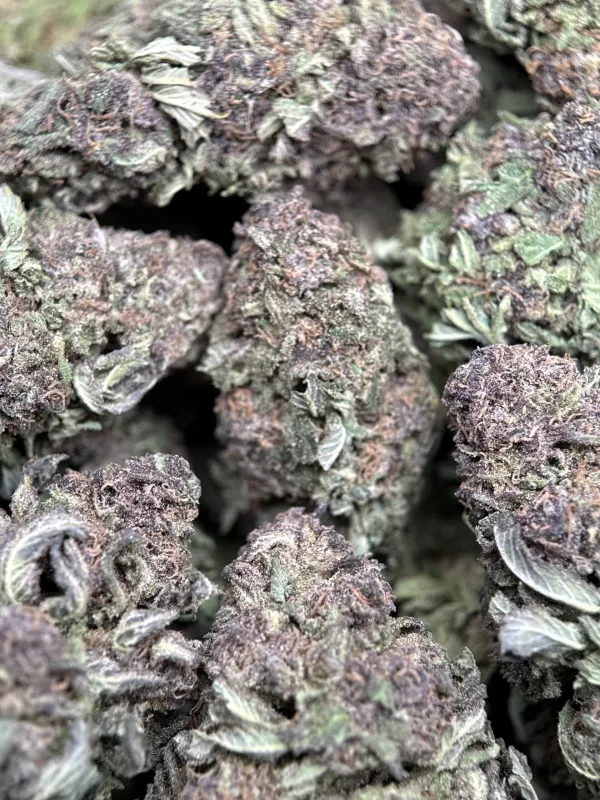 Purple Monster photo 7