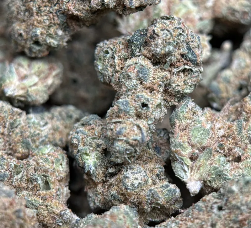 Sour Apple photo 3