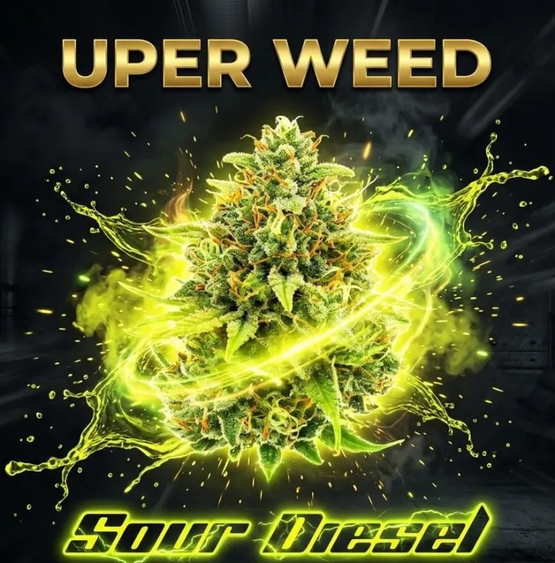 Sour Diesel AA+ photo 2