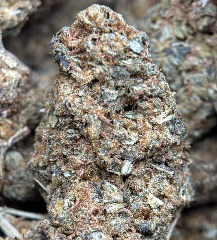 Sour Skittles photo 2